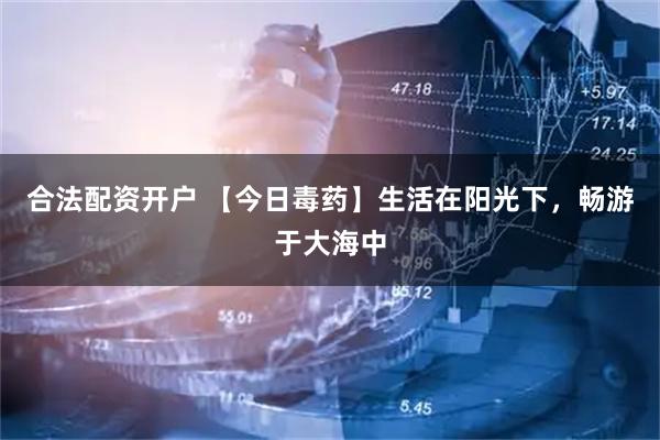 合法配资开户 【今日毒药】生活在阳光下，畅游于大海中