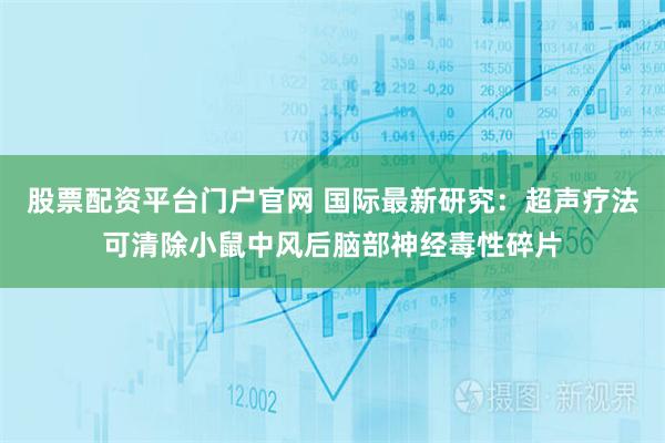 股票配资平台门户官网 国际最新研究：超声疗法可清除小鼠中风后脑部神经毒性碎片